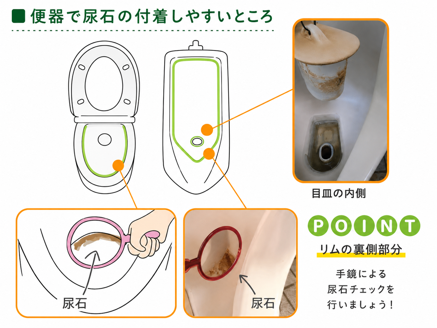便器で尿石が付着しやすいところ 便器で尿石が付着しやすいところ